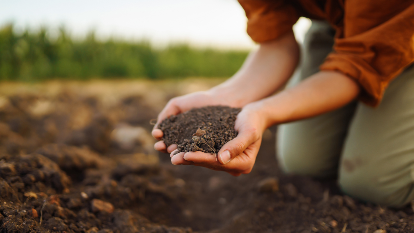 A Green Thumb's Guide: Top Composting Tips for a Thriving Garden