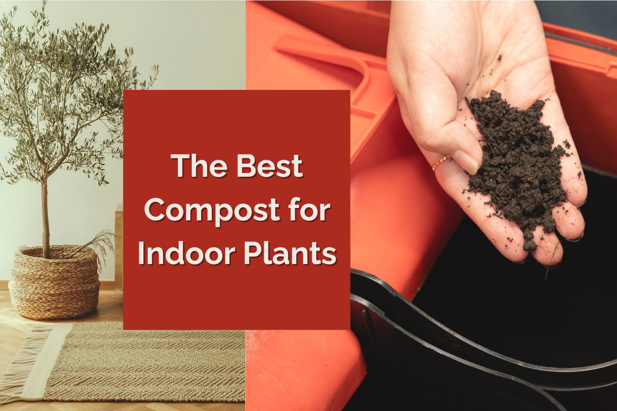 The Best Compost for Indoor Plants in 2025