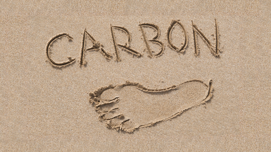 Understanding The Carbon Footprint and Why Reducing Yours Matters