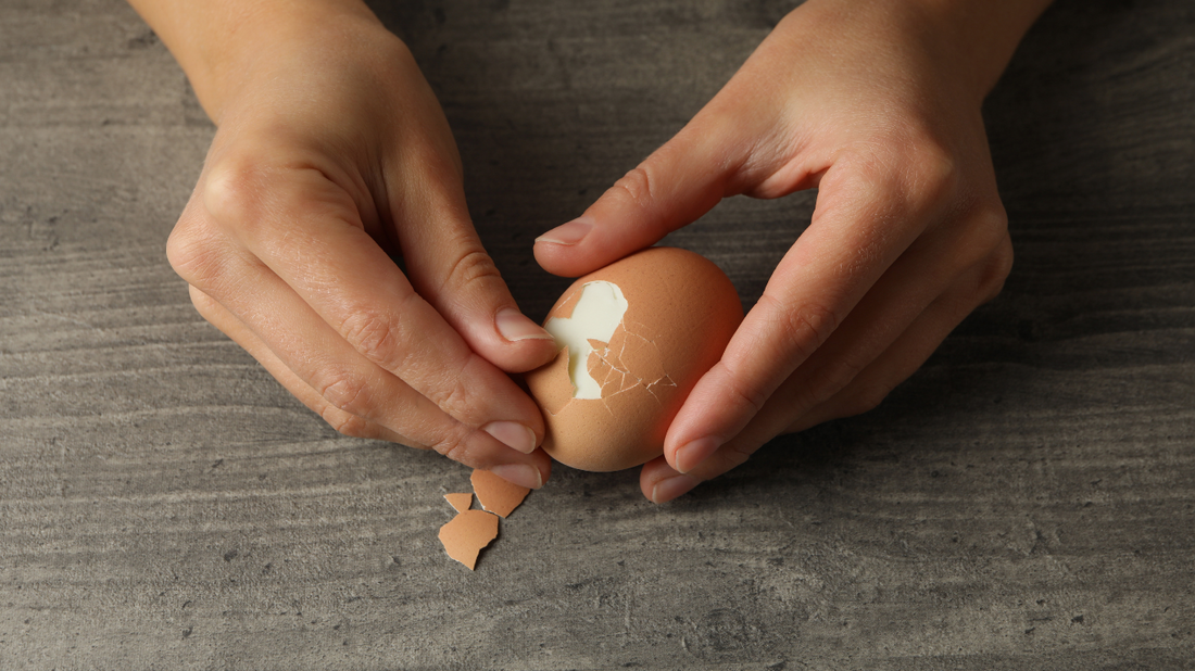 Cracking the Code: The Eggstraordinary Benefits of Using Eggshells in Your Compost